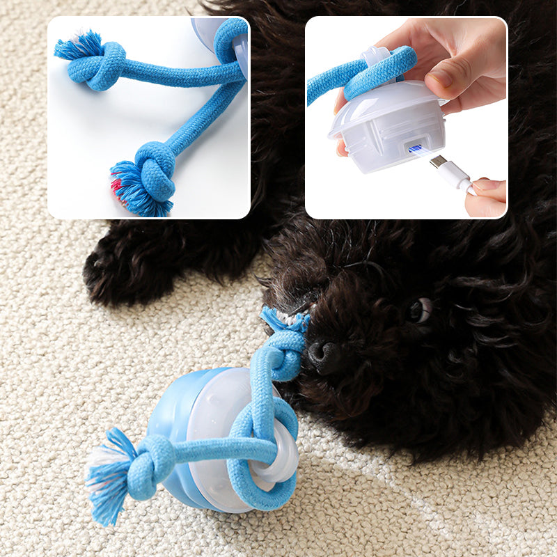 🐾Interactive Electronic Pet Soothing Toy Ball