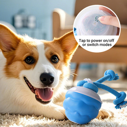 🐾Interactive Electronic Pet Soothing Toy Ball